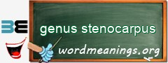 WordMeaning blackboard for genus stenocarpus